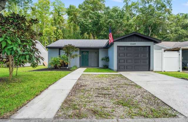 12419 HIDDEN BROOK DRIVE