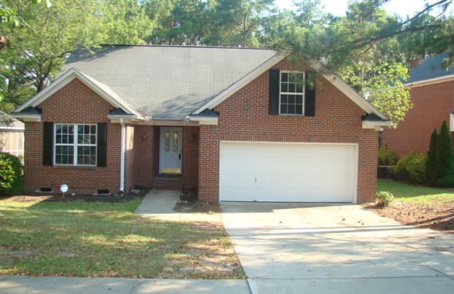 209 Holly Ridge Lane - 209 Holly Ridge Lane, Richland County, SC 29229