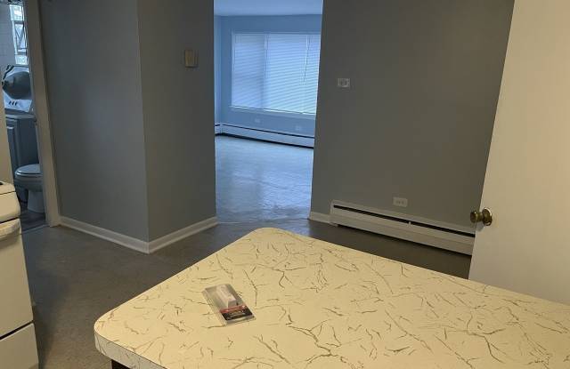 13940 S Edbrooke Avenue unit: 2W