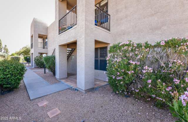 14910 N KINGS Way unit: 105