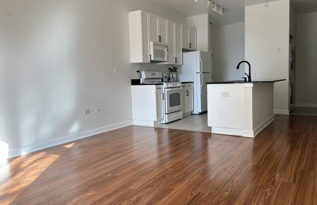 1351 S Halsted Street