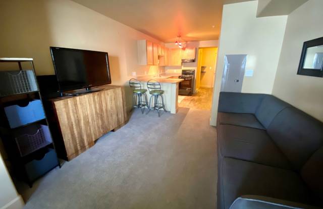 Perfect Furnished Studio with ALL the AMENITIES!