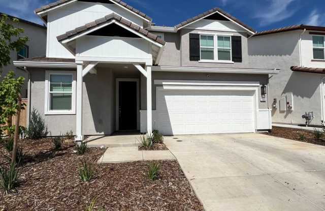 Gorgeous 4 Bedroom and 3 Bathroom Home in Wildhawk North Development $3,100 plus utilities and solar