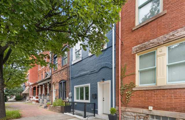 Furnished Luxury Home for Rent-Historic Deutschtown/Northside