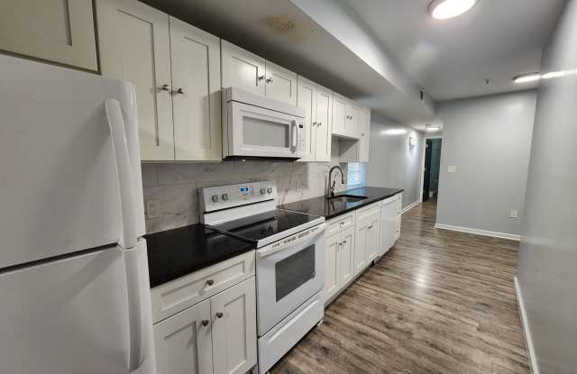 1729 Saint Paul Street - 2