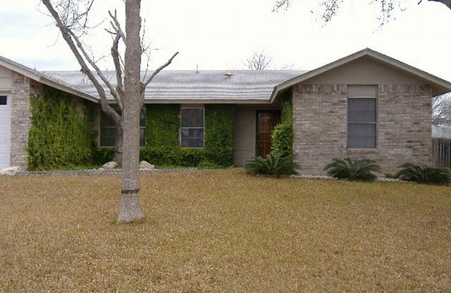 125 Tenderfoot Trl - RENTAL - 125 Tenderfoot Trl, Del Rio, TX 78840