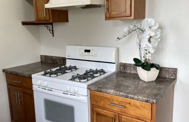 Photo of 424 Ponoma Street