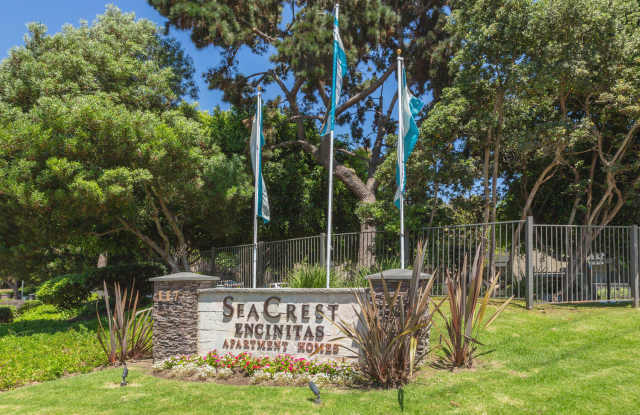 Photo of Elan Seacrest