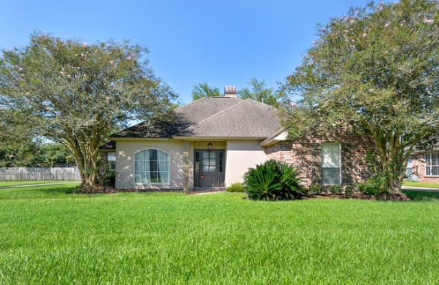 18425 Manchac Lake Drive - 18425 Manchac Lake Drive, Prairieville, LA 70769