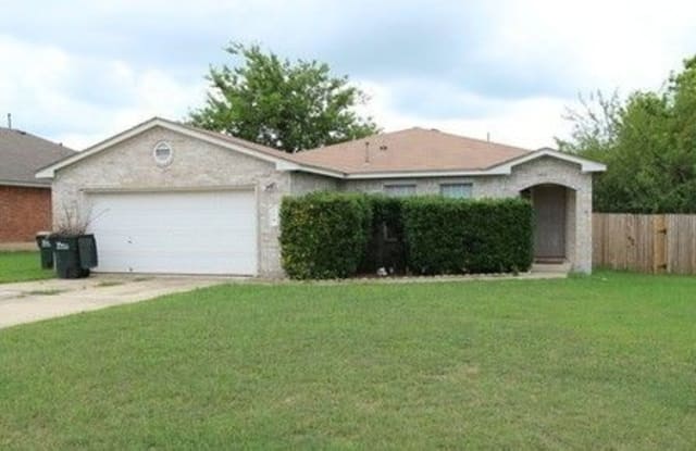 204 Spring Branch Lp - 204 Spring Branch Loop, Kyle, TX 78640