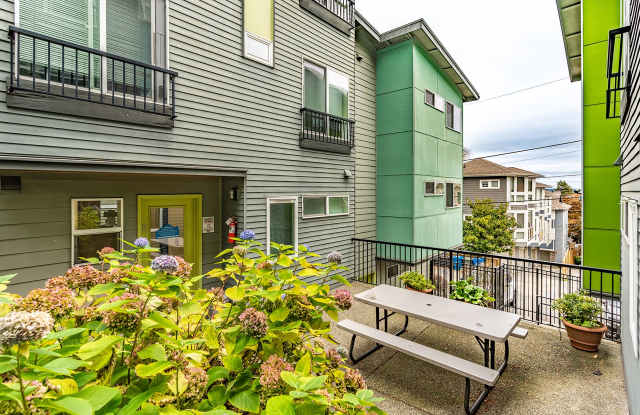 Videré - Courtyard Studios on Cap Hill!