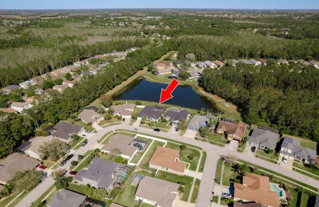 14705 CORAL BERRY DRIVE