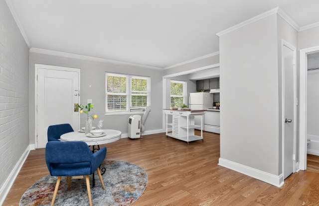 Charming One Bedroom Apartment In The Heart of Plaza Midwood!
