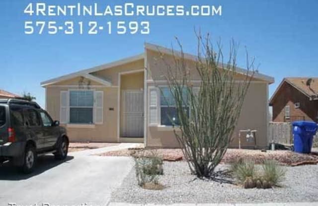 2729 Ben Boldt Dr - 2729 Ben Boldt Place, Las Cruces, NM 88012