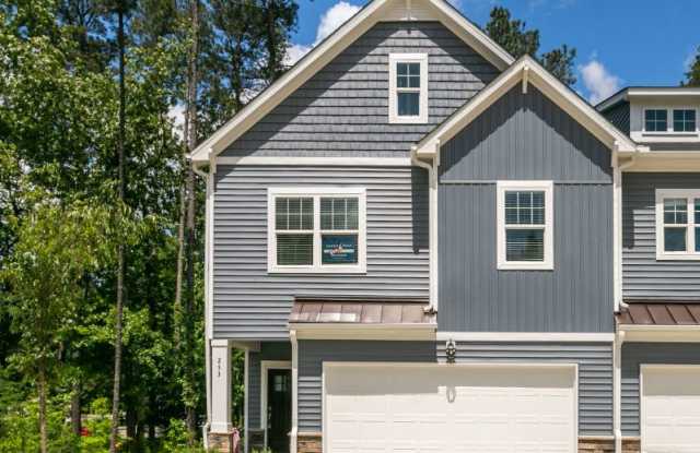 253 Vista Creek Pl