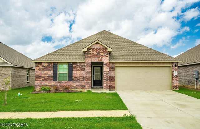 206 Chestnut Oak Drive