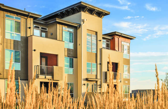 The Aster Town Center