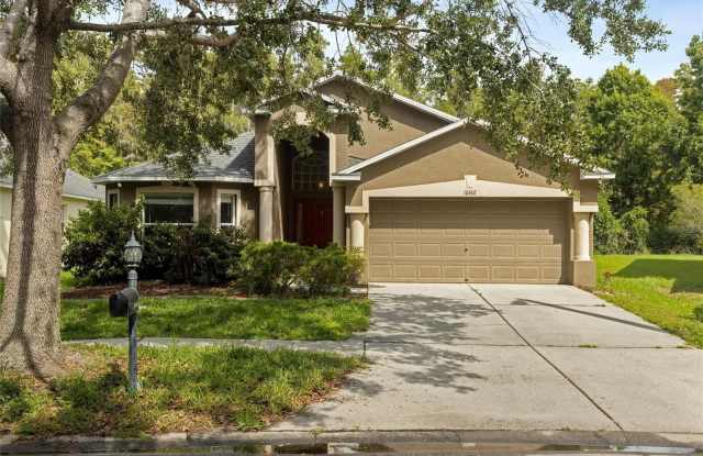 10462 LUCAYA DRIVE