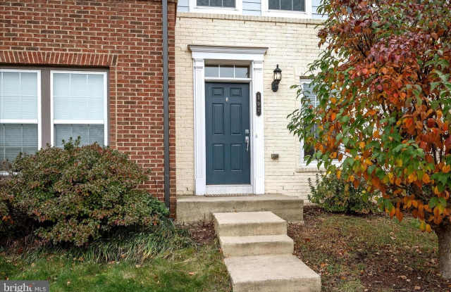 507 FLAMEFLOWER TER SE