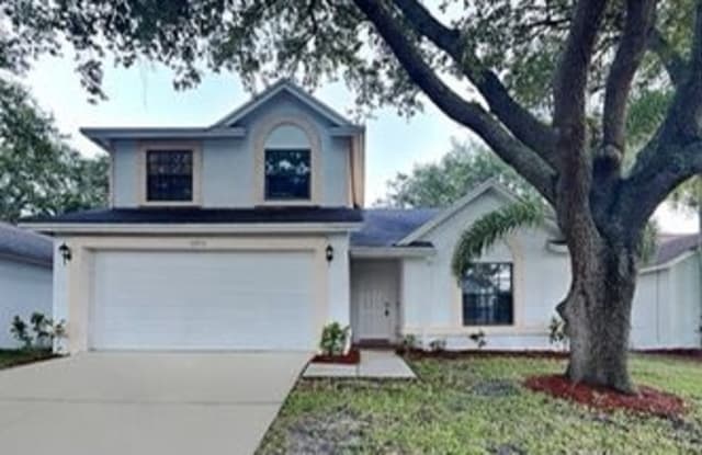 10916 Carnelian Lane - 10916 Carnelian Lane, Riverview, FL 33578