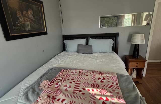 Photo of 167 Ennell St