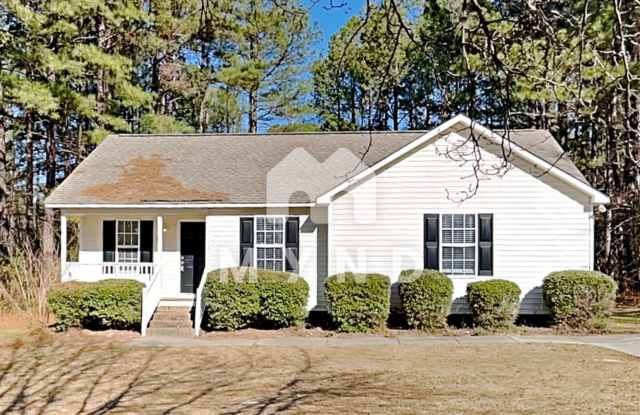 438 Spaniel Ln - 438 Spaniel Lane, Johnston County, NC 27520