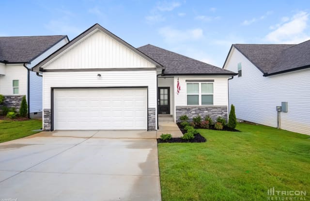 589 Faye Alley - 589 Faye Aly, Robertson County, TN 37172