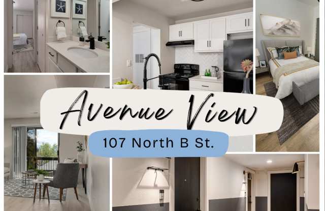 Join Avenue View, a Sophisticated Downtown Community!