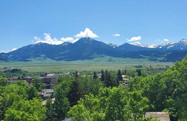 514 N. Yellowstone