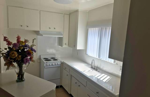 Cute Move-In Ready Studio Apartment