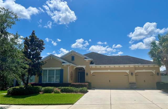 17541 BUCKINGHAM GARDEN DRIVE - 17541 Buckingham Garden Drive, Fish Hawk, FL 33547