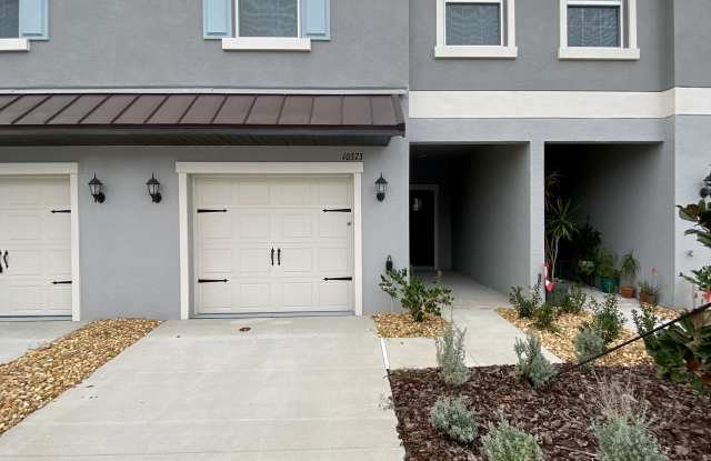 Photo of 10373 Lavender Aster Trl