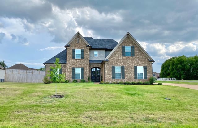 4393 Davall Circle - 4393 Davall Cir, DeSoto County, MS 38654