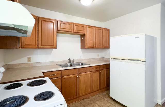 1025 E 10th Ave  #11