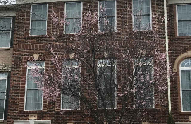 Photo of 25830 TURLOUGH Terrace