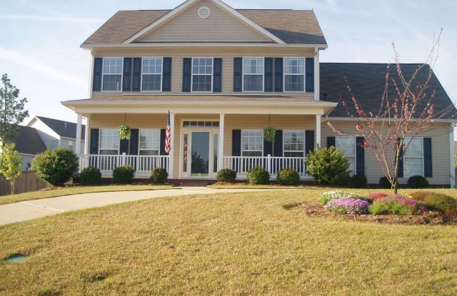 5 Indigo Springs Court - 5 Indigo Springs Ct, Richland County, SC 29229