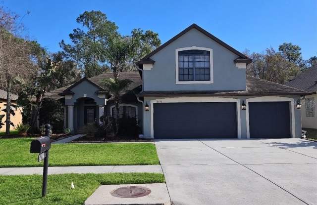 10740 RAIN LILLY PASS