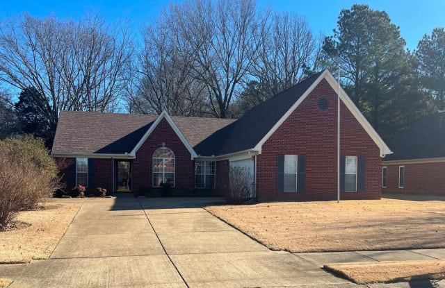 6910 White Hawk Ln - 6910 White Hawk Lane, DeSoto County, MS 38654