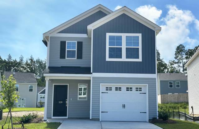 329 Braemar Drive - 329 Braemar Drive, Lexington County, SC 29073