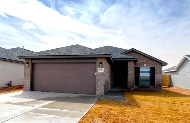 Amazing 3 Bedroom Home (Available 5/15/24) - 1709 133rd Street, Lubbock County, TX 79423