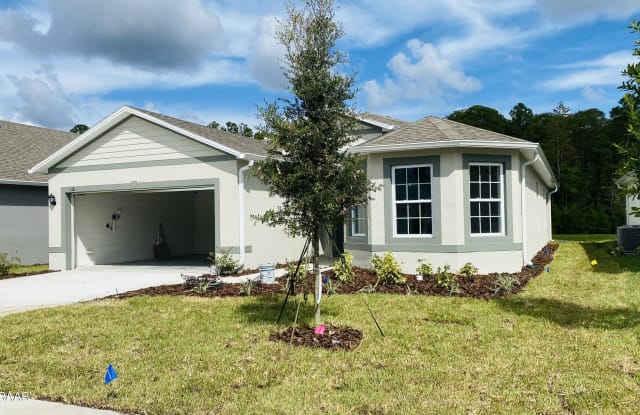 116 Birch Tree Place - 116 Birch Tree Pl, Volusia County, FL 32117