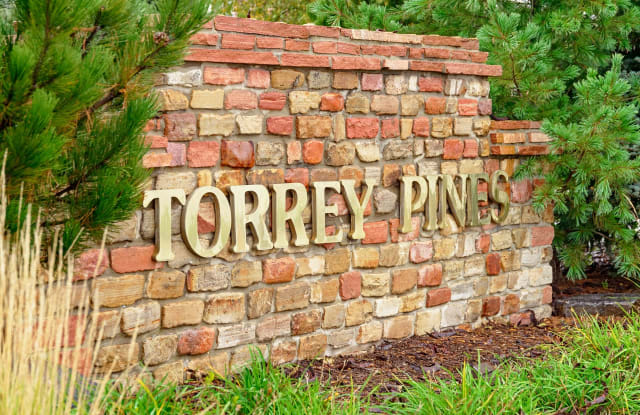 Torrey Pines photos photos