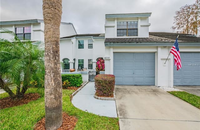 4230 BRENTWOOD PARK CIRCLE - 4230 Brentwood Park Cr, Northdale, FL 33624