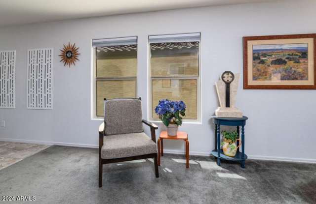 40858 W PORTIS Drive