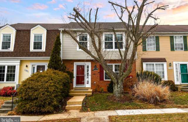 11796 LONE TREE Court