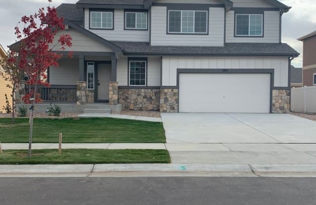 245 Castle Drive - 245 Castle Drive, Weld County, CO 80550