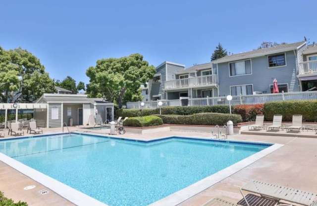 3651 Knollwood Ter Apt 3113