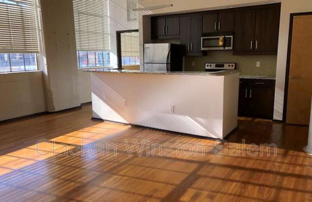 Winston Factory Lofts