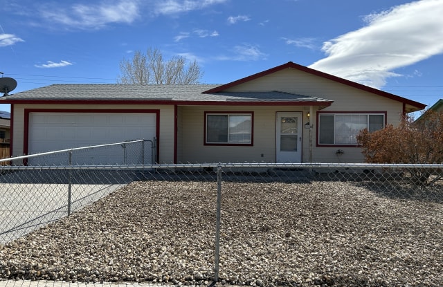 2025 Lonnie Ln - 2025 Lonnie Lane, Lyon County, NV 89403