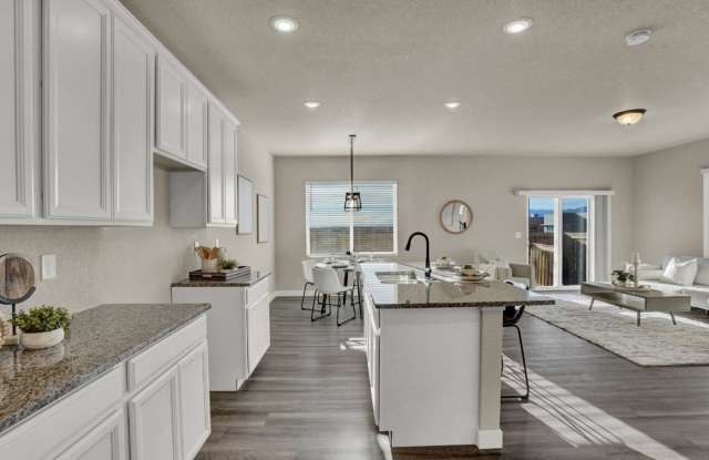 BRAND NEW HOME MINUTES FROM FORT CARSON AND PETERSON AFB - 6239 Yellowthroat Terrace, El Paso County, CO 80925